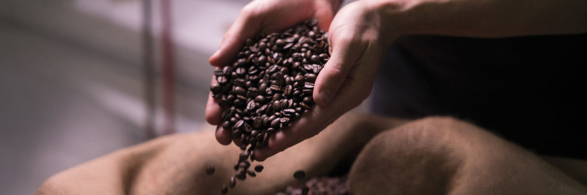 Nos cafés